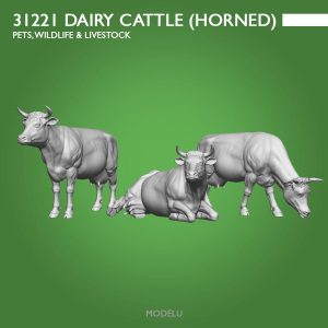 Dairy Cattle with horns  (3)