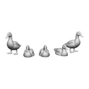 Ducks (10)